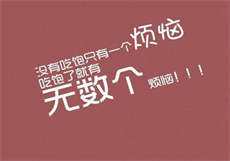 雏姬1apk
